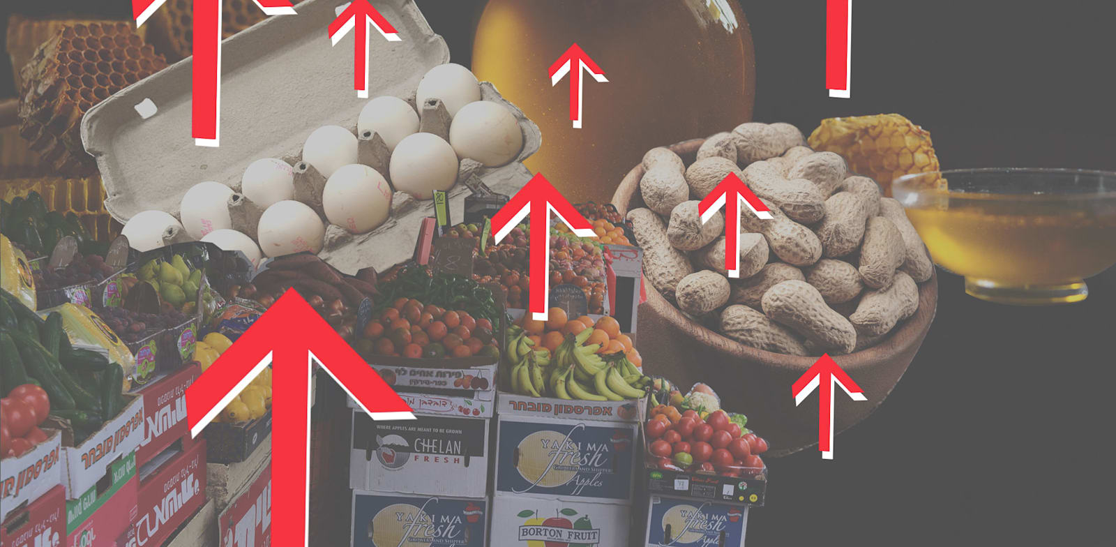 מועצות המזון סובלות ממנגנונים מנופחים שמעלים את יוקר המחיה / עיבוד: טלי בוגדנובסקי