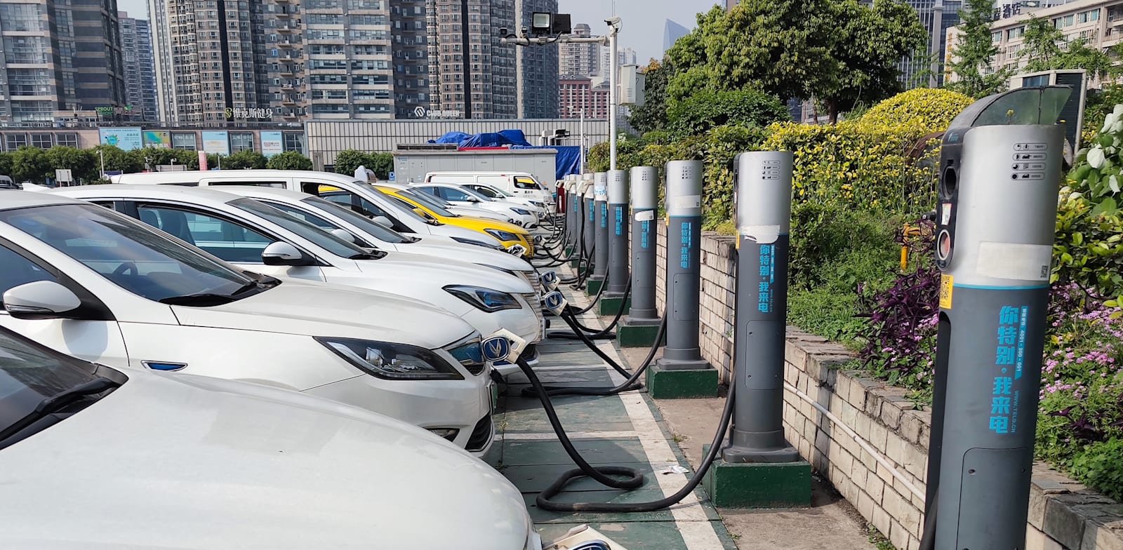 ''מכשירי תנועה'' תרכוש 60% ממניות יבואנית הרכב הסיני EV-MOTORS / צילום: Shutterstock