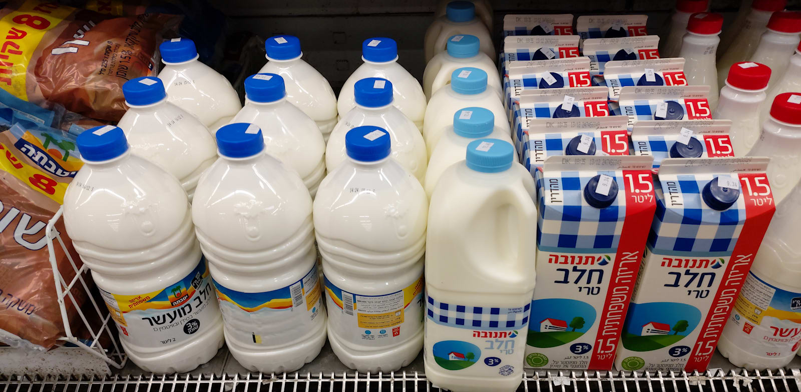 מוצרי חלב / צילום: איל יצהר