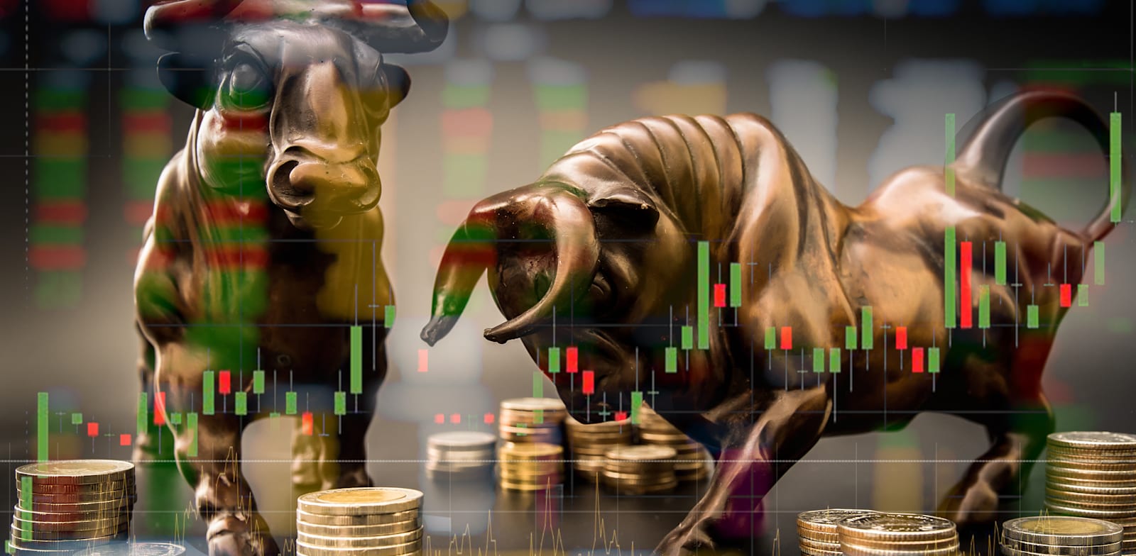 / צילום: טרציה: shutterstock"