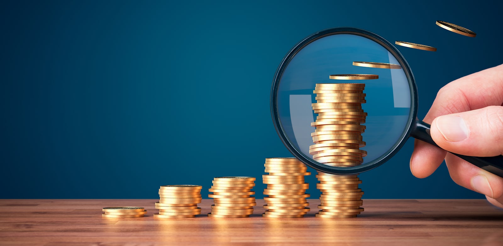 / צילום: ובדי הממשלה צמח בקצב מהיר יותר מאשר השכר הממוצע במשק / אילוסטרציה: Shutterstock"