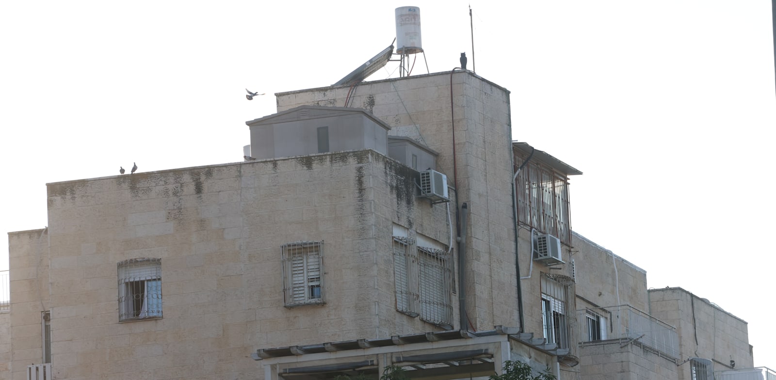 חריגות בנייה ברחוב גבעת משה 2 בירושלים / צילום: יוסי זמיר