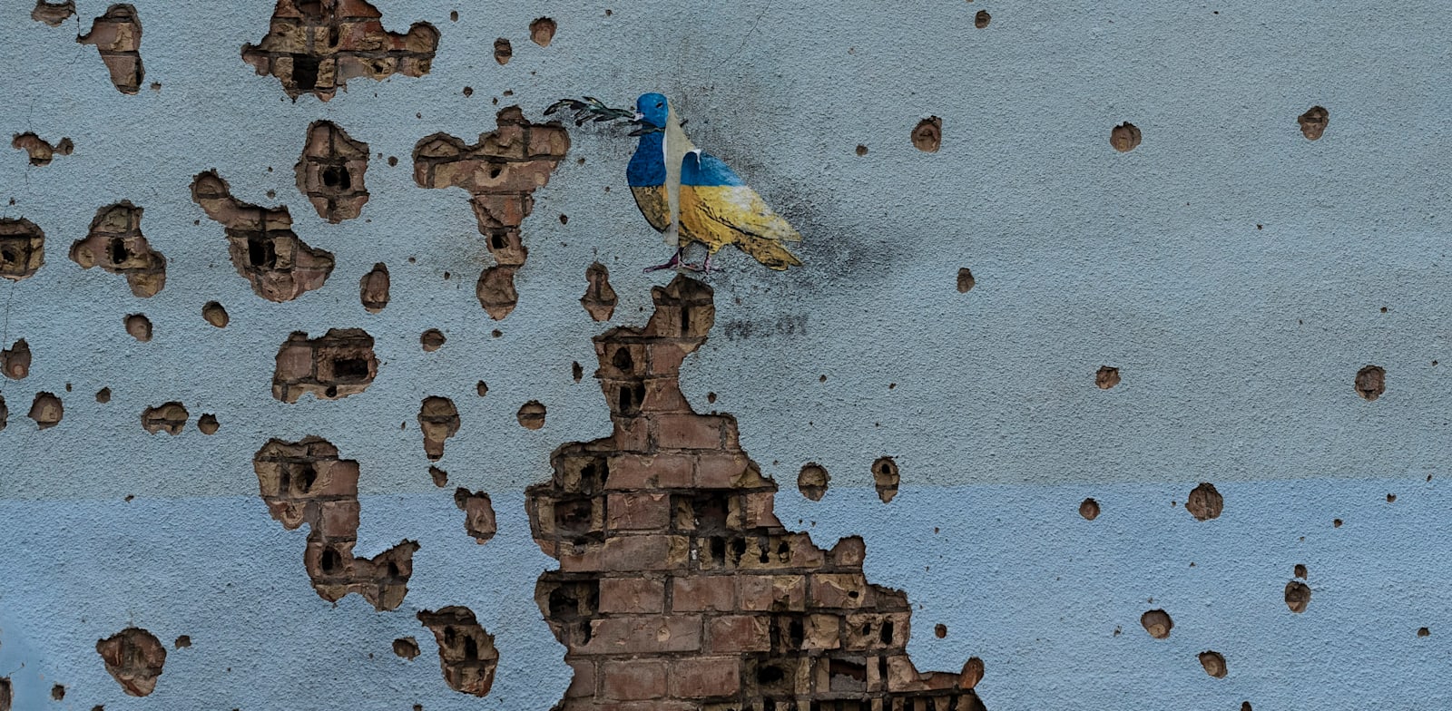 יונה בצבעי אוקראינה שאומן גרפיטי המכונה TvBoy צייר על קיר של בניין שנפגע בעיר אירפין / צילום: Associated Press, Jae C. Hong