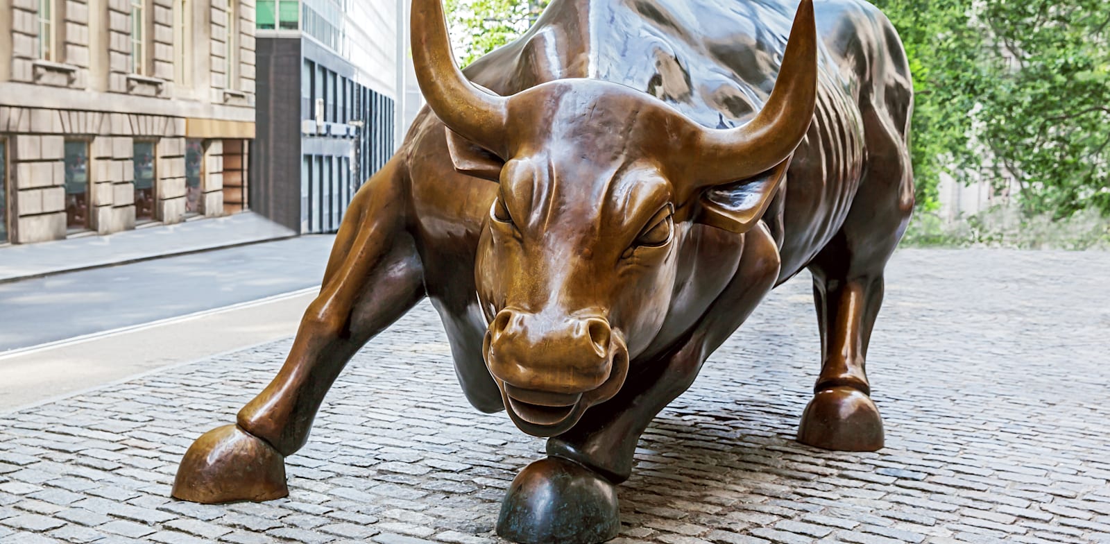 / צילום: Shutterstock"