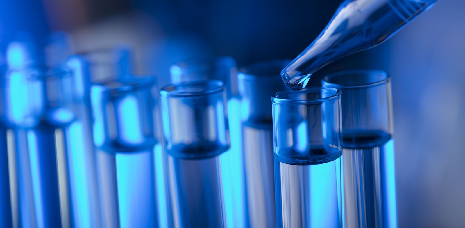 / צילום:  / אילוסטרציה: Shutterstock"