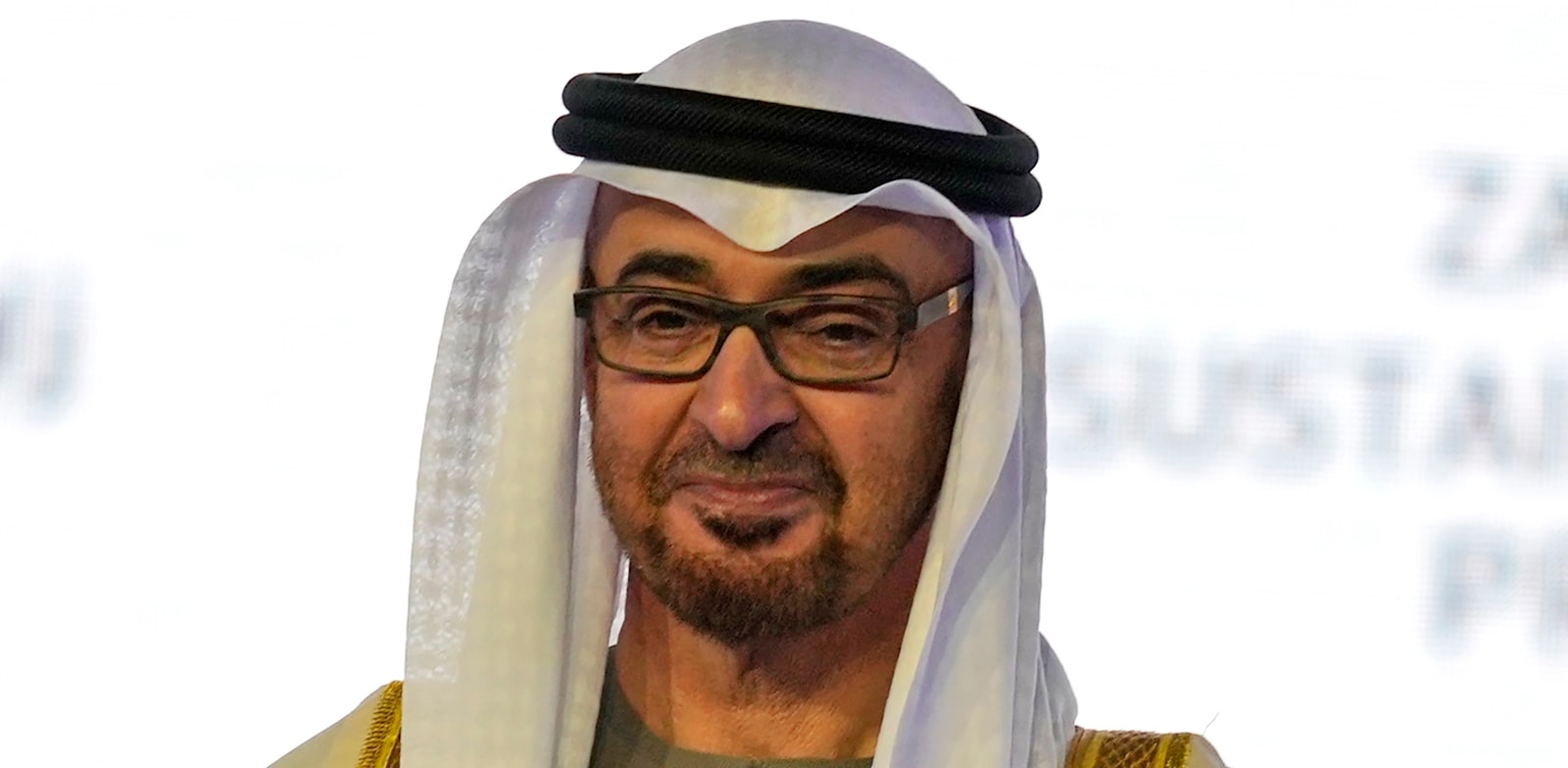 מוחמד בן זאיד, נשיא איחוד האמירויות / צילום: Associated Press, Kamran Jebreili