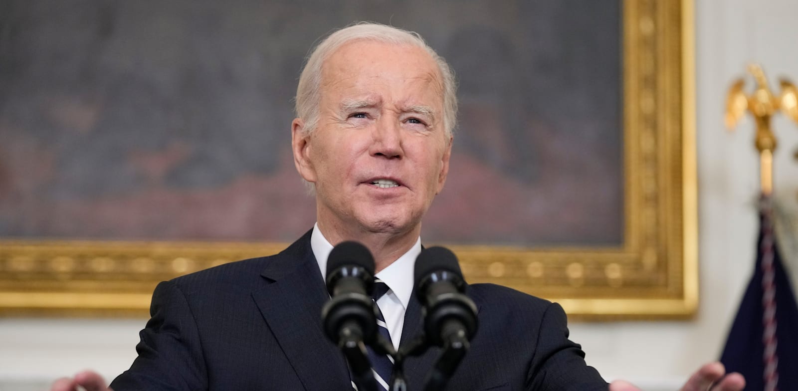 מכירת הנשק היא מסר של ממשל ביידן / צילום: ap, Manuel Balce Ceneta