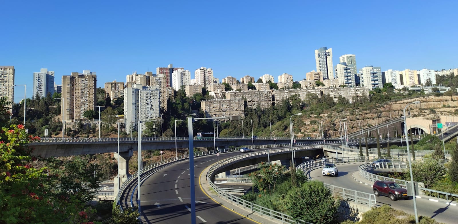 "חיפה. קפאה במקום / צילום: Shutterstock"