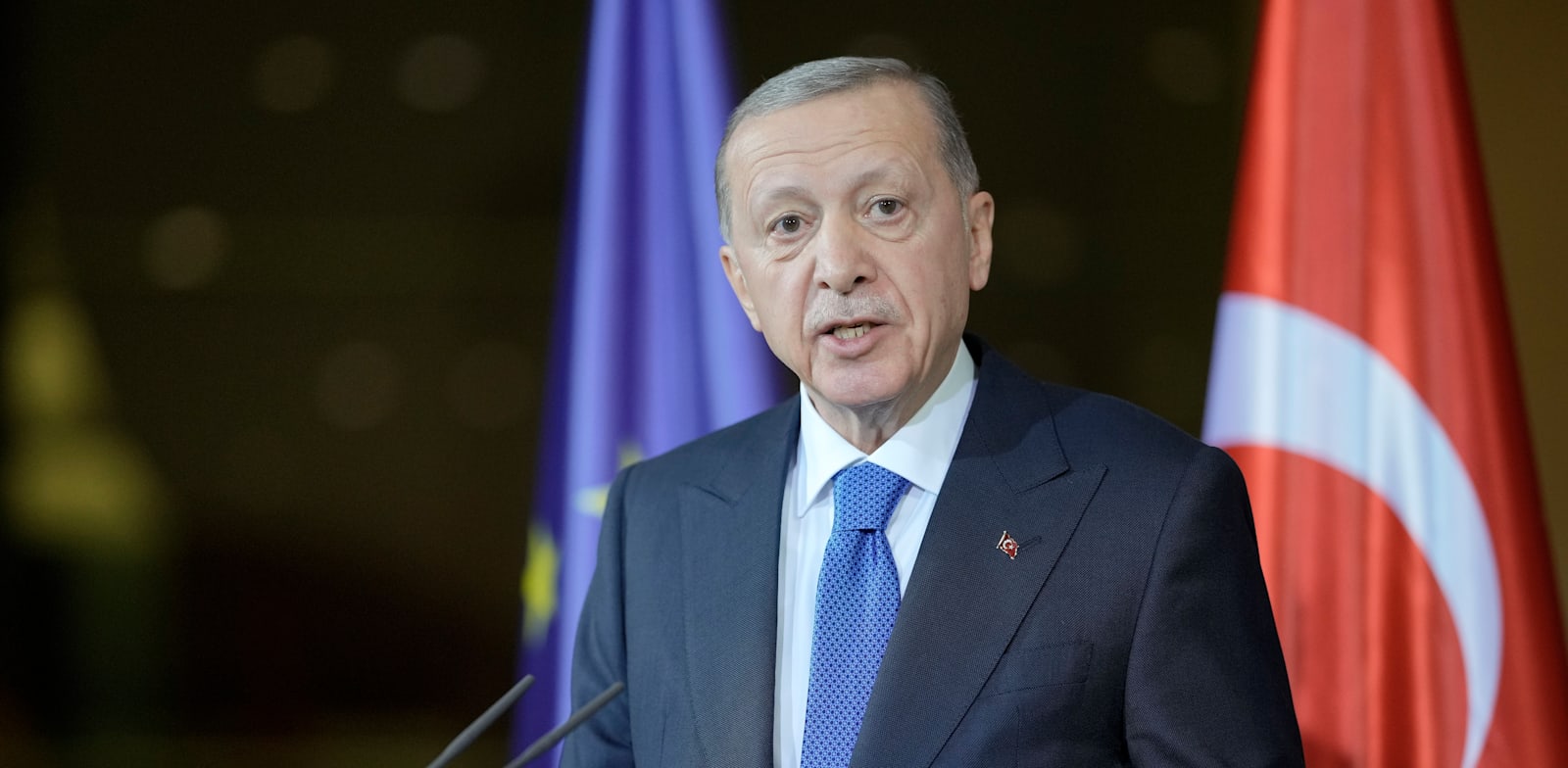 נשיא טורקיה, רג'פ טאייפ ארדואן / צילום: Associated Press, Markus Schreiber