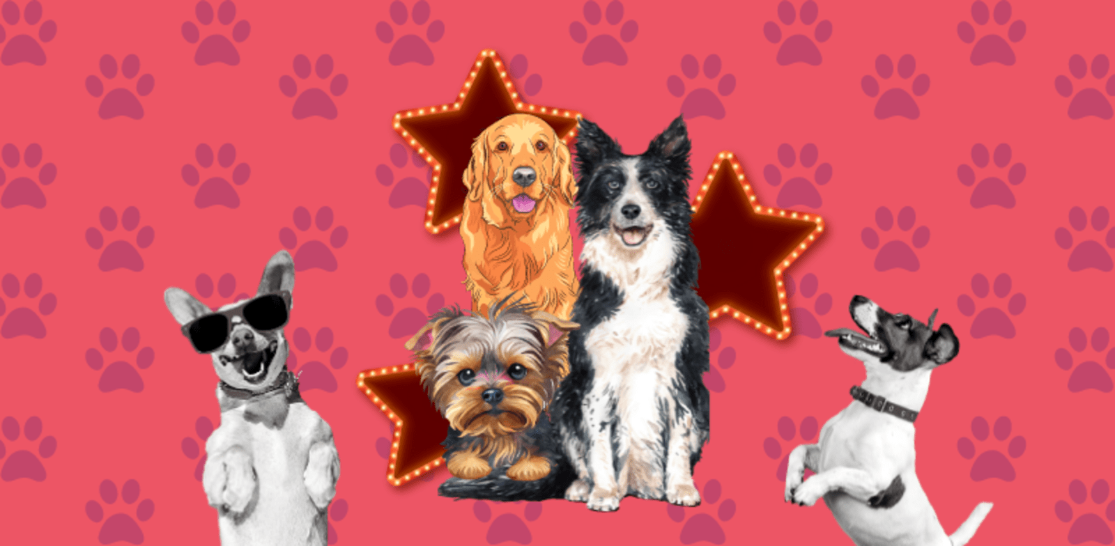 הטריוויה השבועית / צילום: Shutterstock