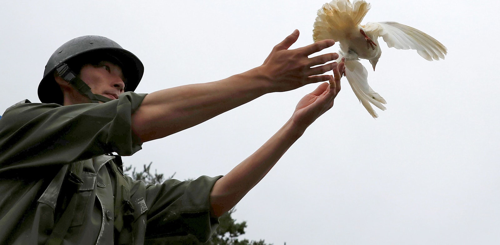 טקס לציון 70 שנה למלחמת קוריאה. שני הצדדים התעייפו / צילום: Reuters, KIM HONG JI