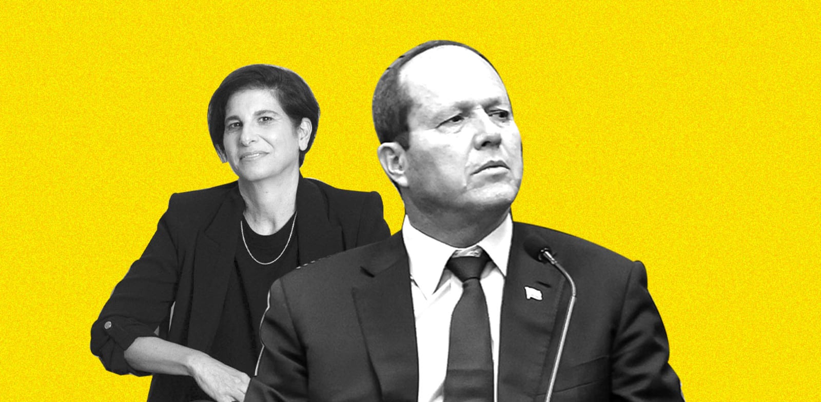 צילומים: נועם מושקוביץ(דוברות הכנסת) כדיה לוי, עיבוד: טלי בוגדנובסקי