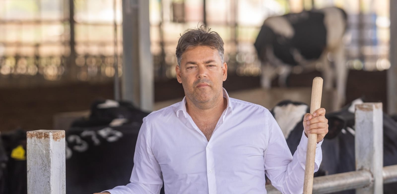 "ליאור שמחה, מנכ''ל התאחדות יצרני החלב / צילום: יוסי אלוני"