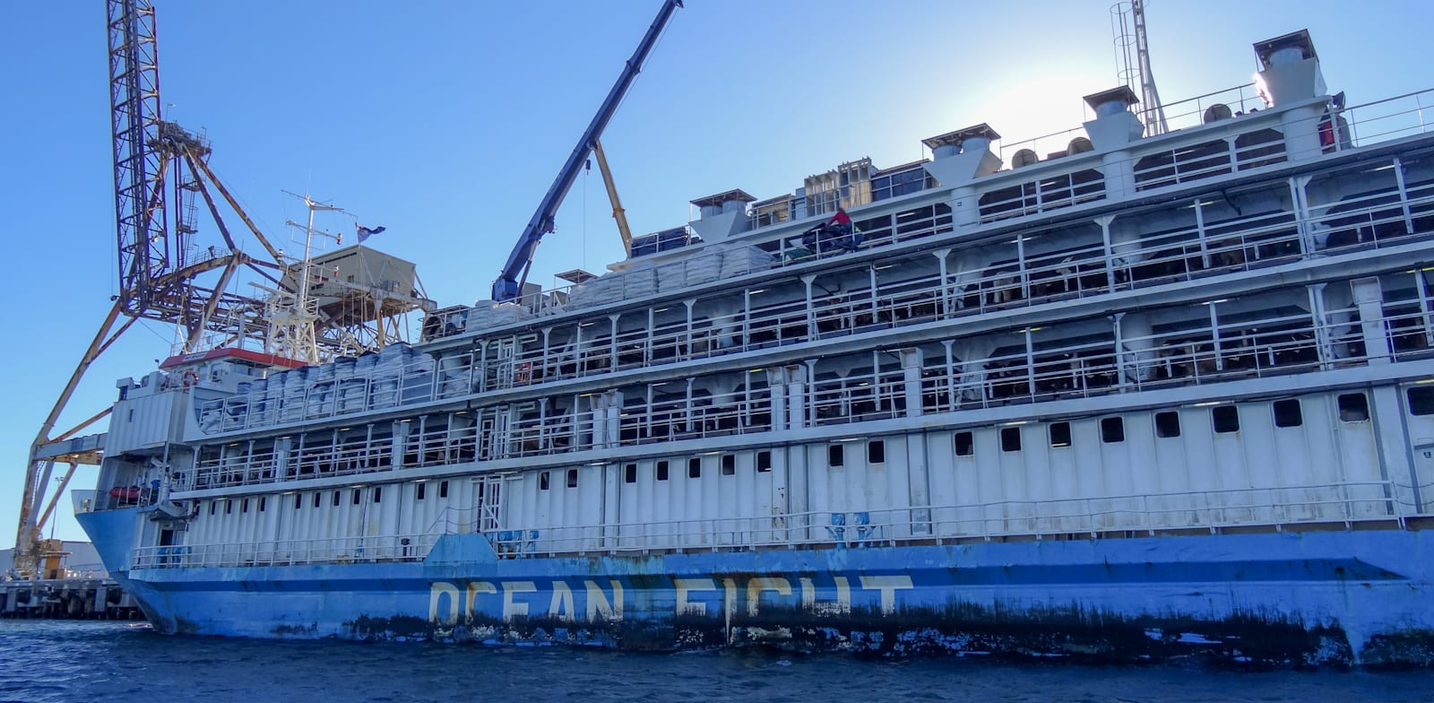 ""משלוחים חיים" מאוסטרליה למזרח התיכון / צילום: Shutterstock, Ian Geraint Jones"