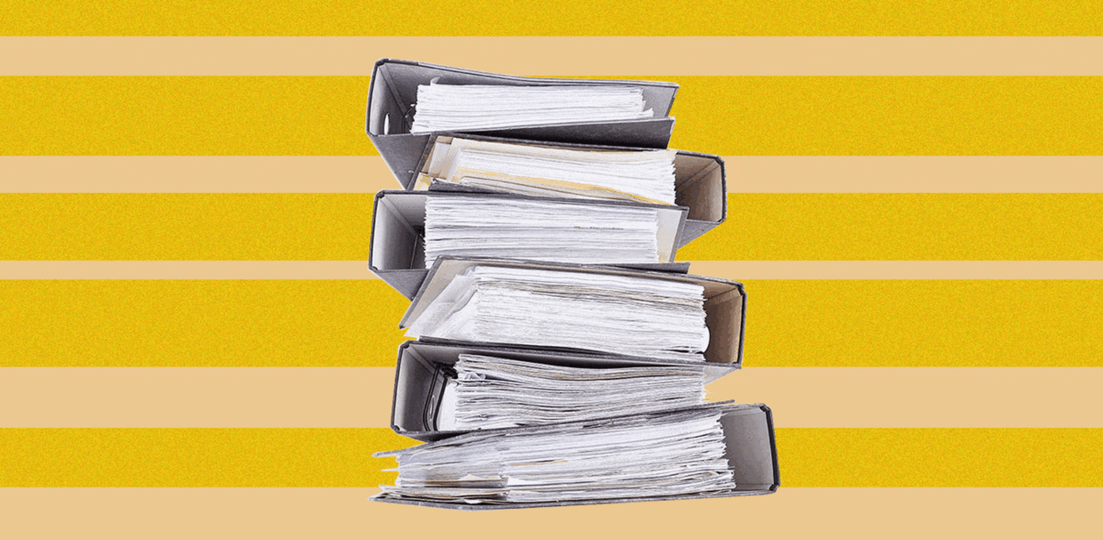 / צילום:  ההתמחות בעריכת דין / אילוסטרציה: טלי בוגדנובסקי"