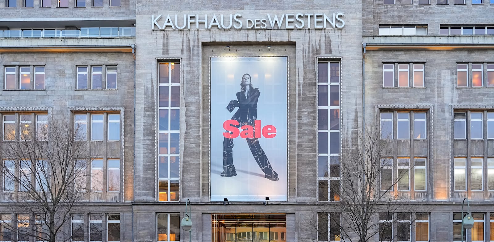 הכלבו הגרמני ''קה־דה־ווה'' / צילום: Reuters, Marc Vorwerk