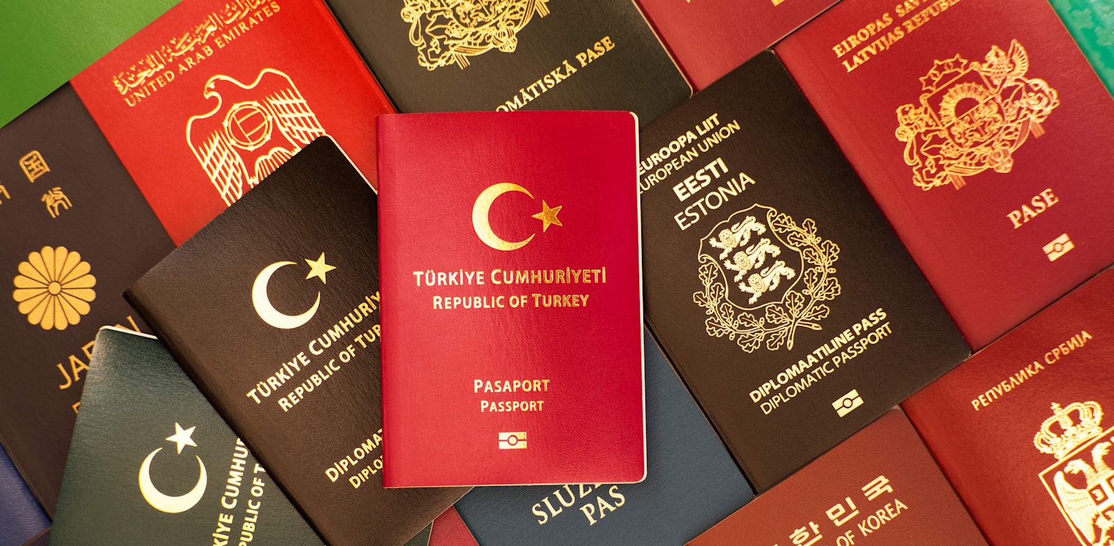 "דרכונים תמורת השקעה / צילום: Shutterstock"