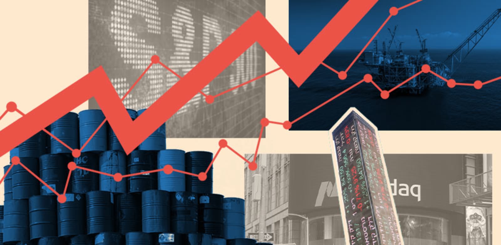 / צילום: אלבטרוס, shutterstock אילוסטרציה: טלי בוגדנובסקי"