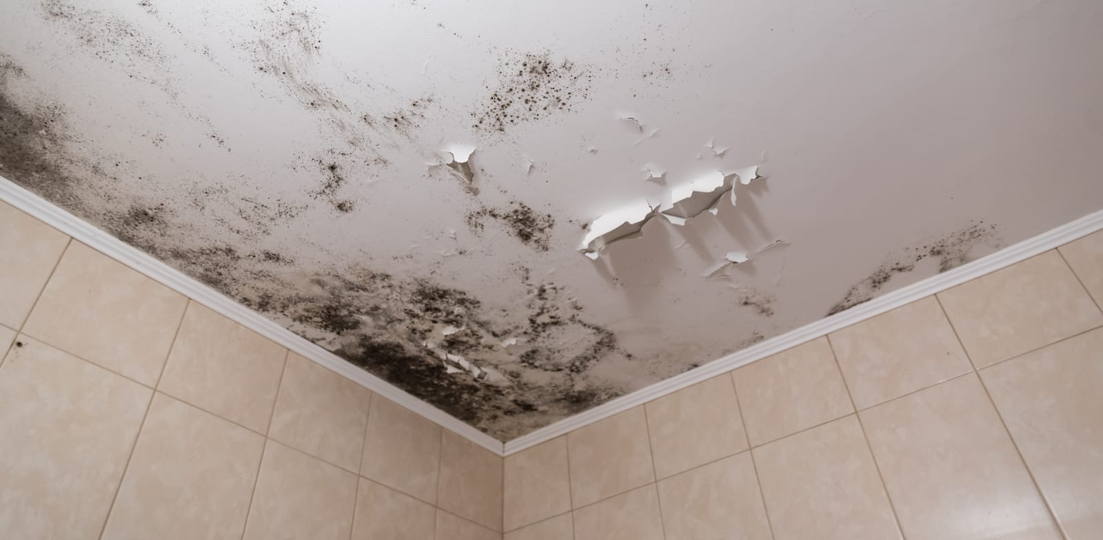 "הסחבת הישראלית מגיעה לקירות שלנו בחורף / צילום: Shutterstock"