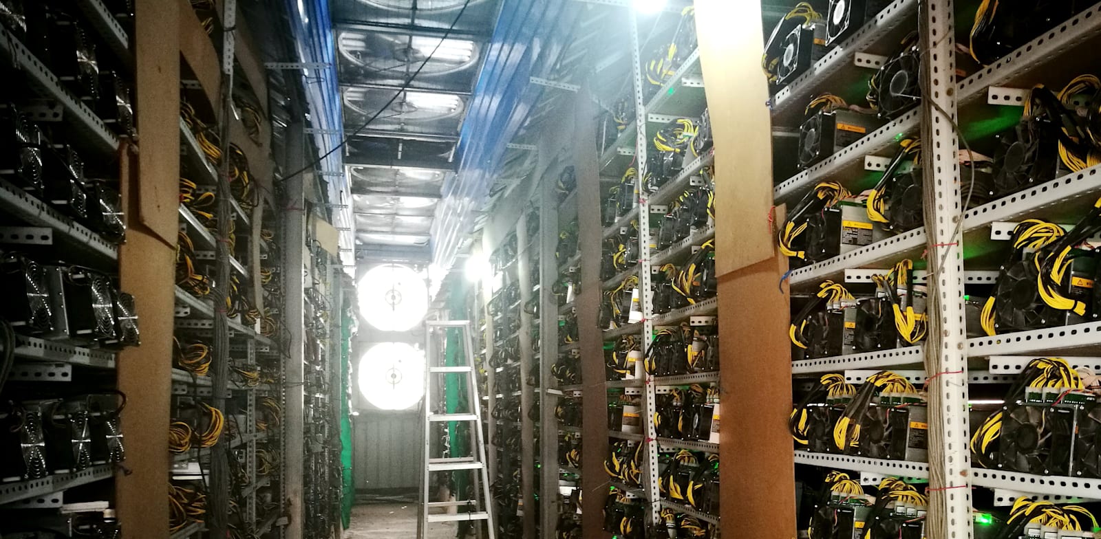 "חווה לכריית ביטקוין / צילום: Reuters, Stringer"