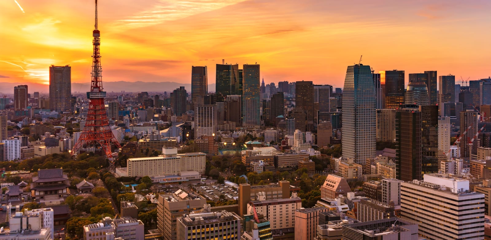 "אבודים בטוקיו / צילום: Shutterstock"