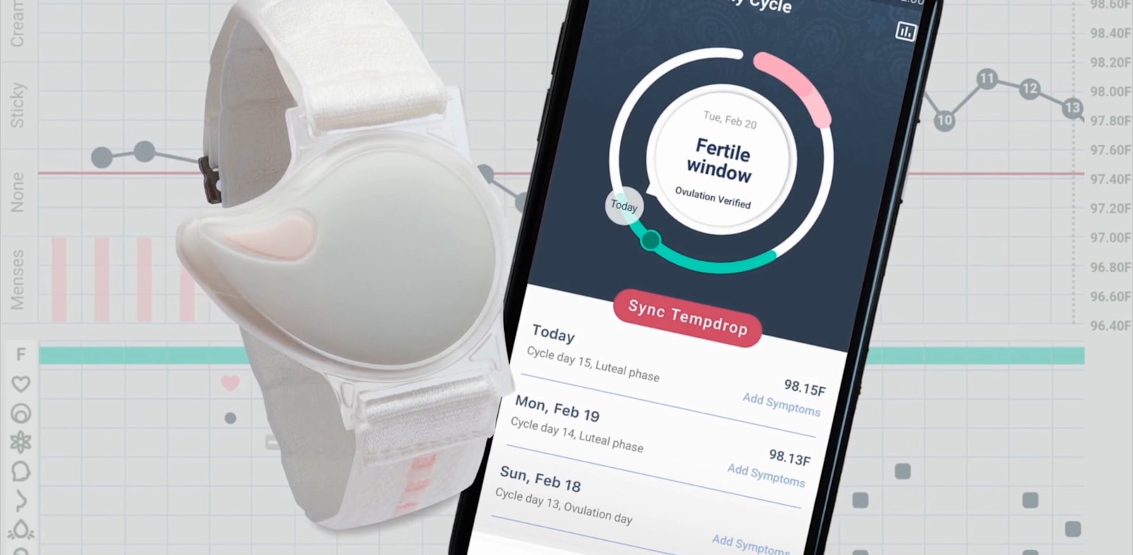 "אפליקציית טמפרופ / צילום: צילום מסך"