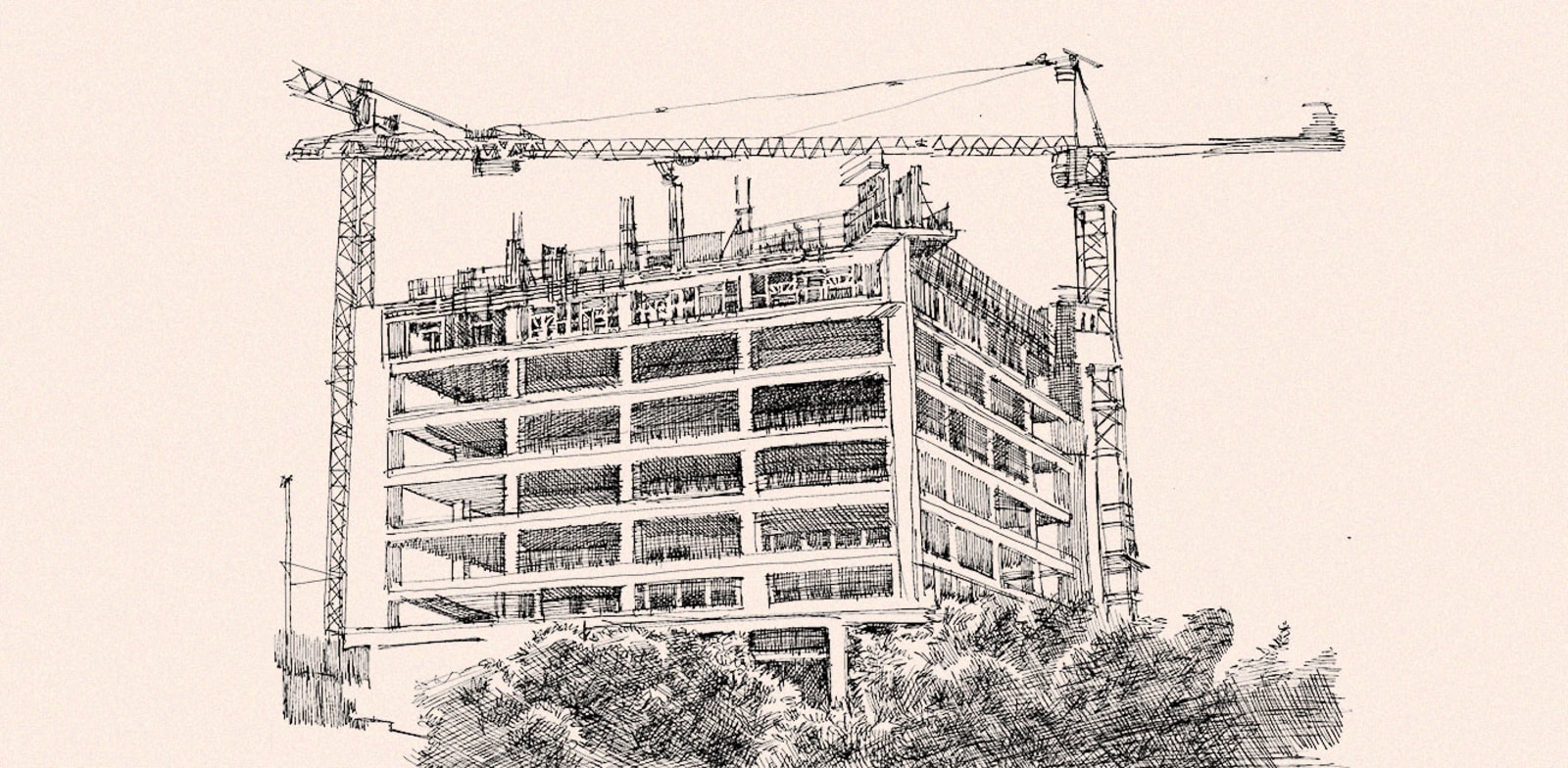 / צילום:  גיל ג'יבלי"