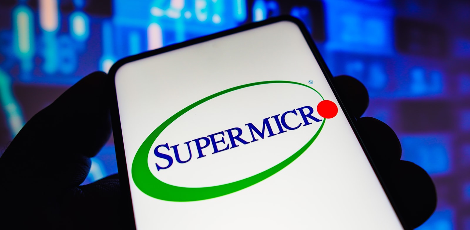 "מניית השבבים סופר מיקרו מזנקת / צילום: Shutterstock"