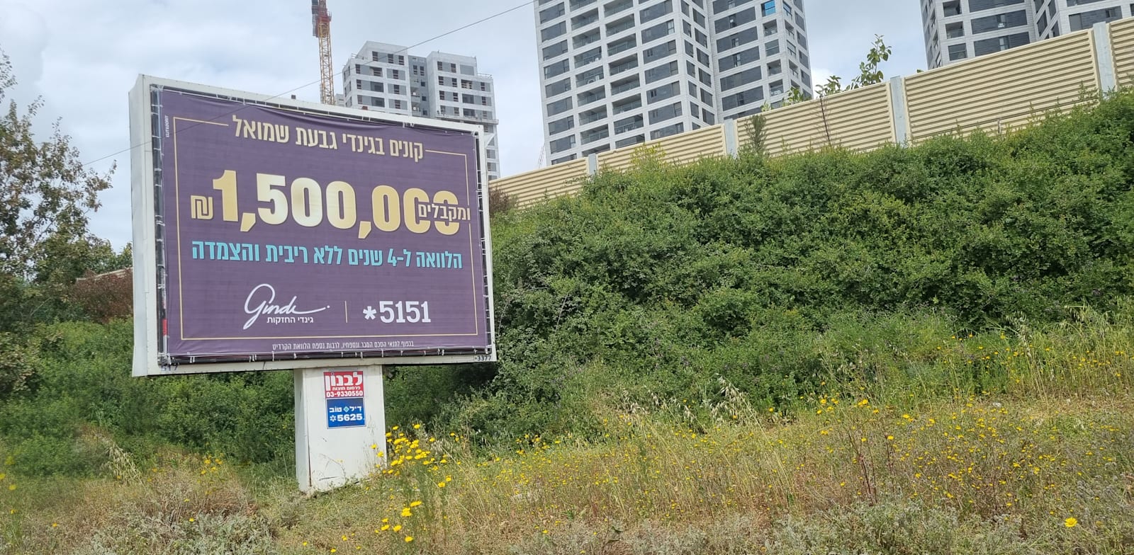 הפרסום של גינדי החזקות. מגלם הנחה של כ־300 אלף שקל / צילום: דרור מרמור