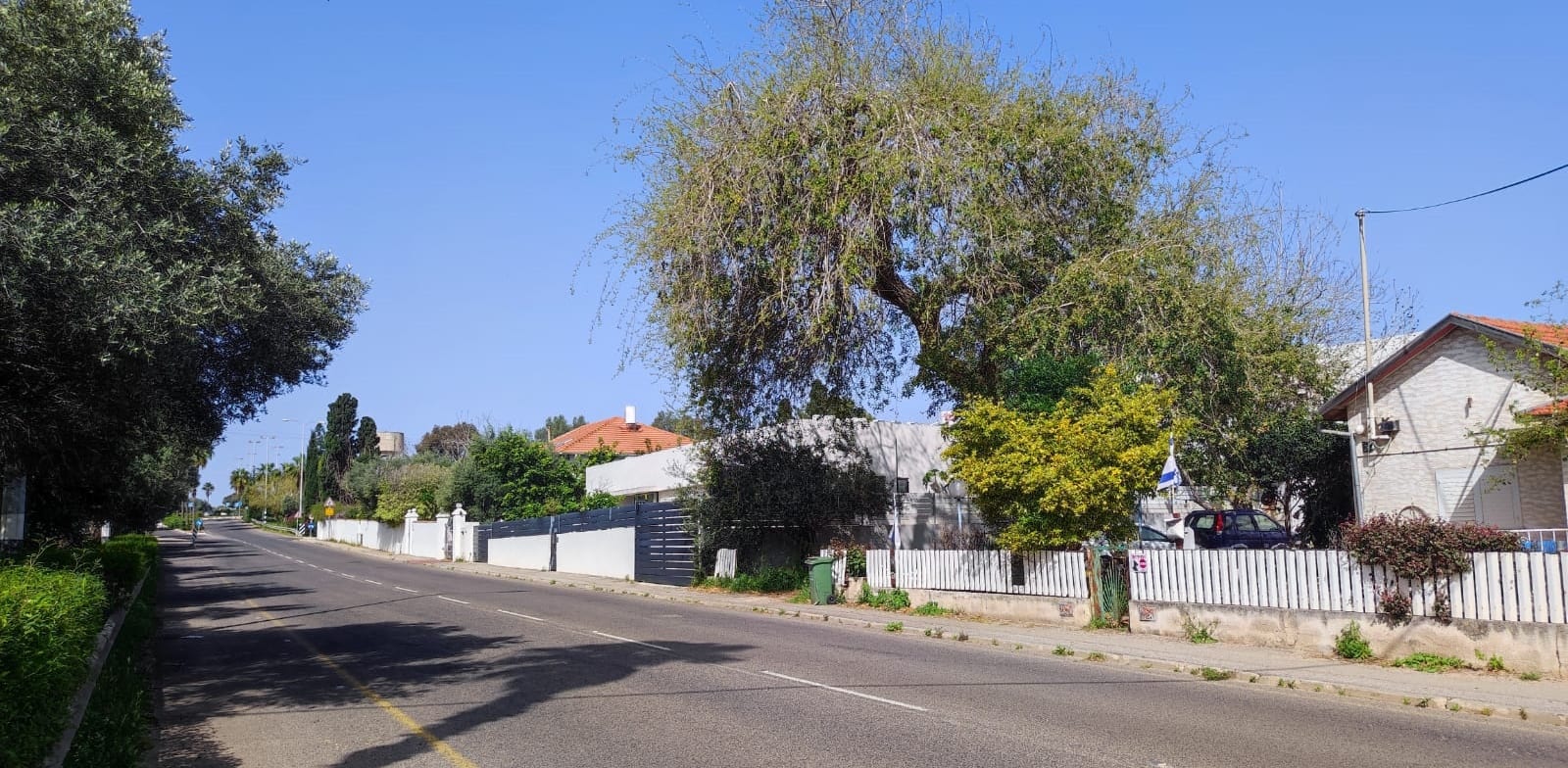 "בנימינה / צילום: נעמה מצגר טבול"