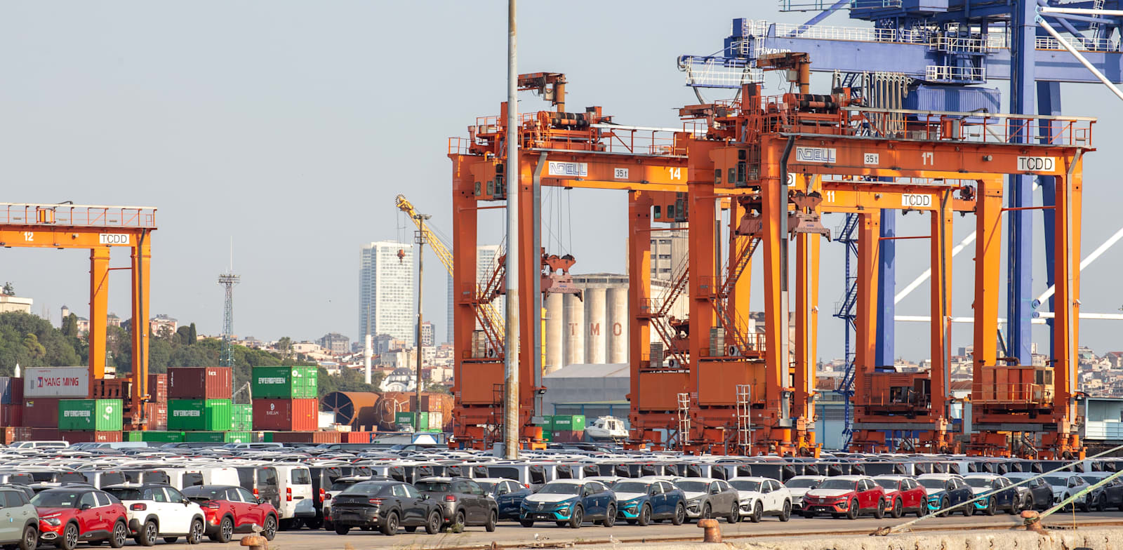 "רכבים מוכנים ליצוא בטורקיה, ב־2023 / צילום: Shutterstock"