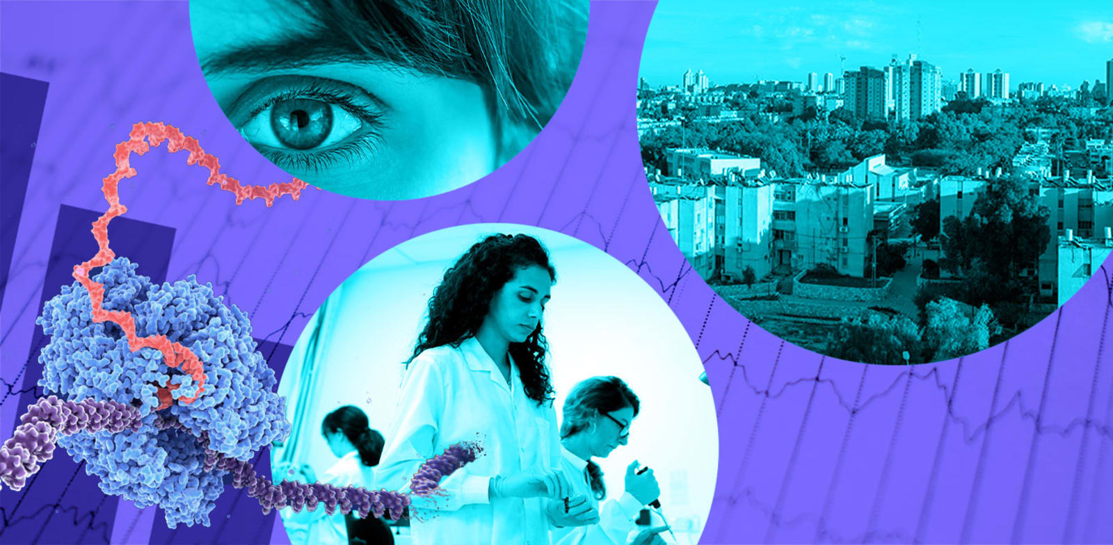 / צילום: ם: shutterstock, עיבוד: טלי בוגדנובסקי"