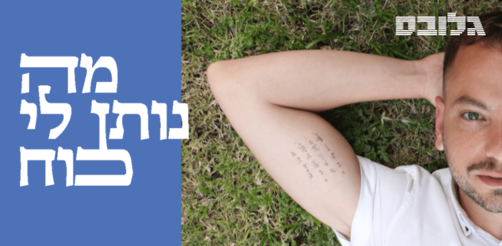 אסף זגריזק / צילום: כדיה לוי