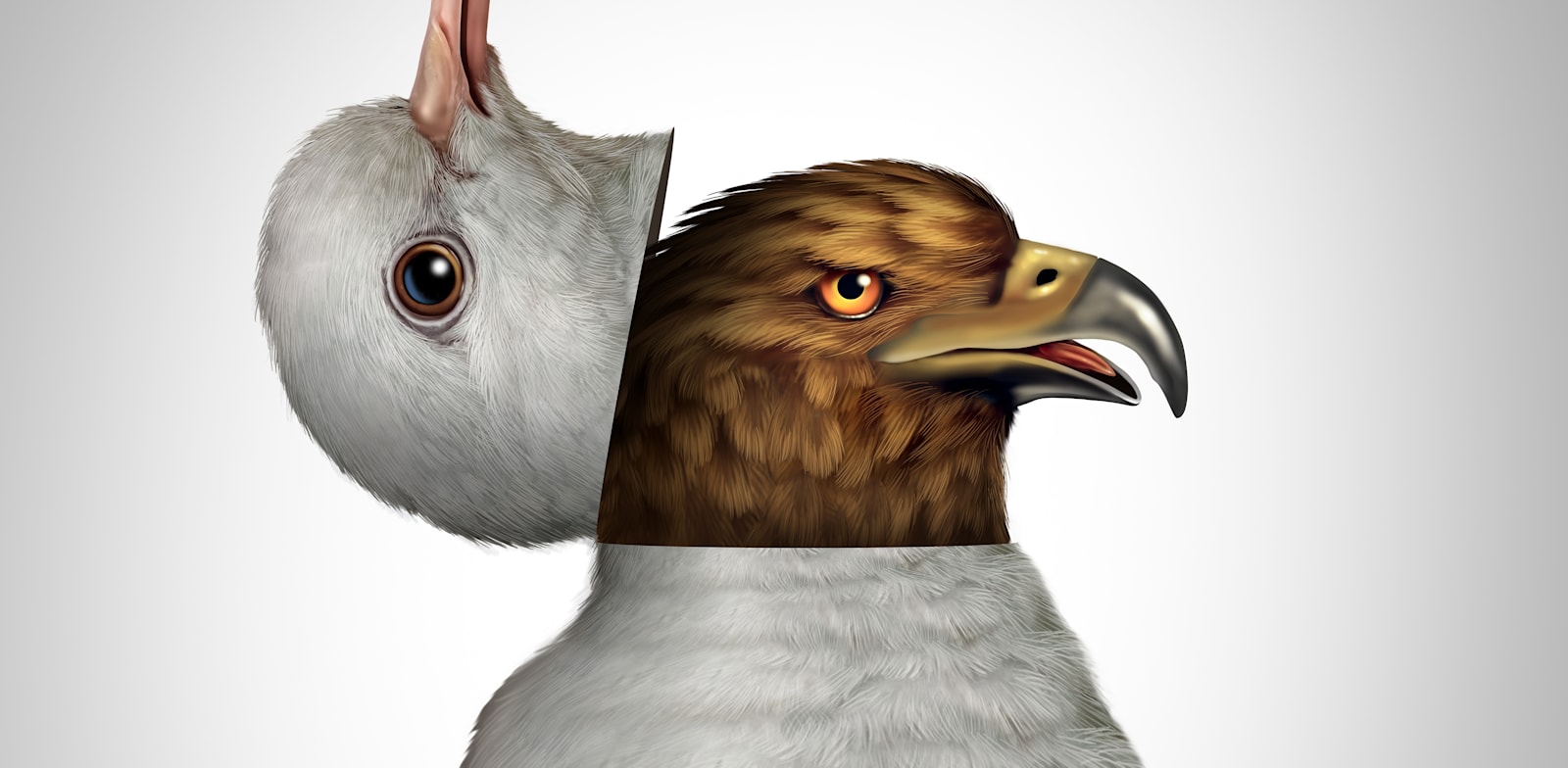 "מציאות הפוכה / צילום: Shutterstock"