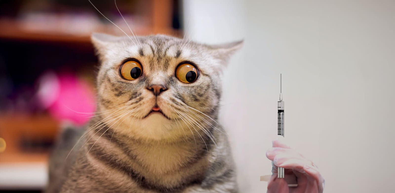 "מאחורי הציפייה לאירועים שליליים / צילום: Shutterstock"