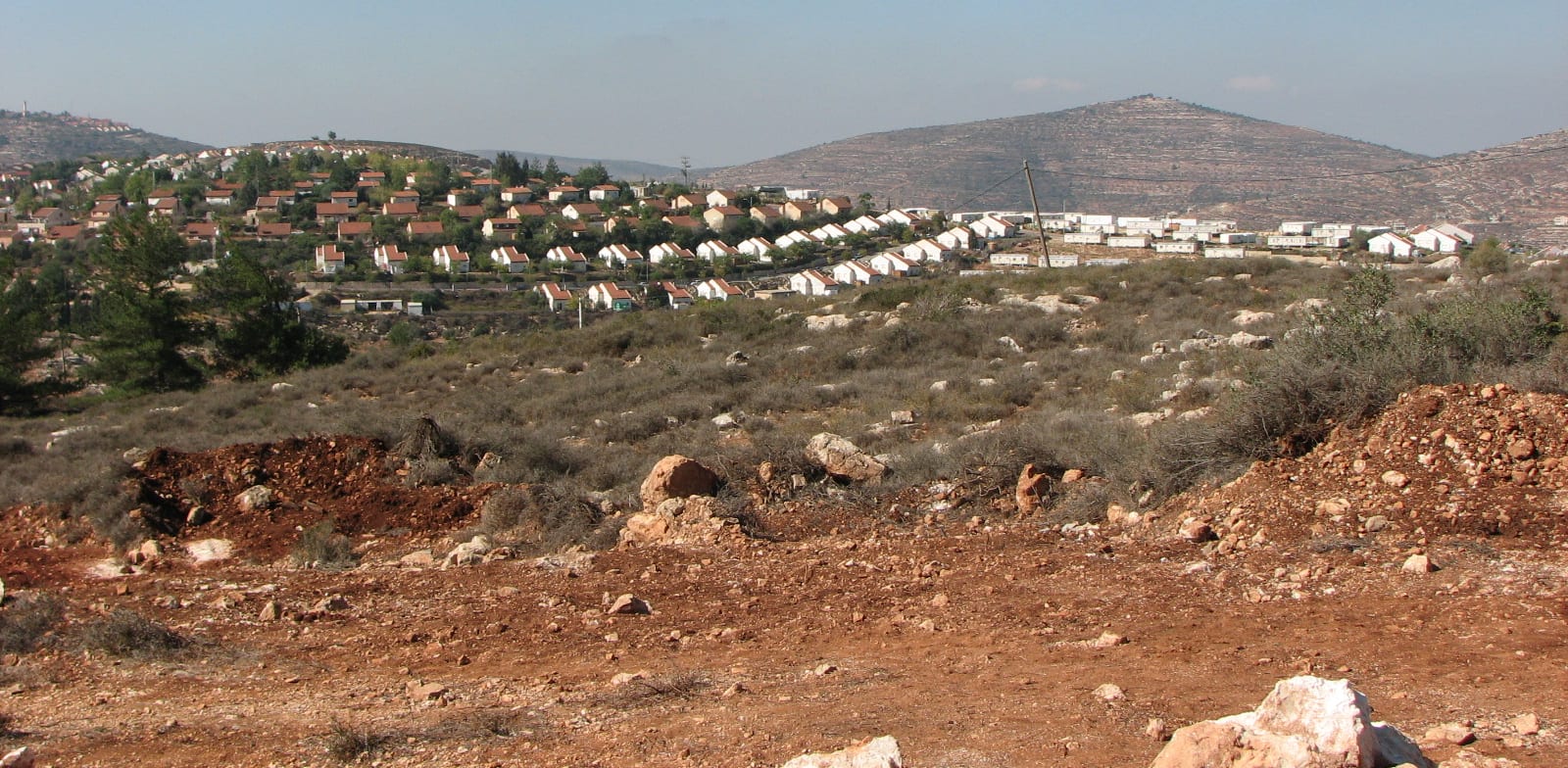 היישוב עלי ביהודה ושומרון / צילום: מיכאל יעקובסון