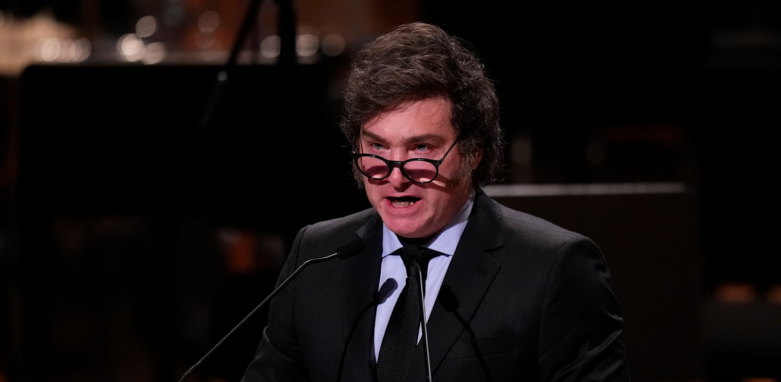 "חאבייר מיליי, לנשיא ארגנטינה / צילום: ap, Natacha Pisarenko"