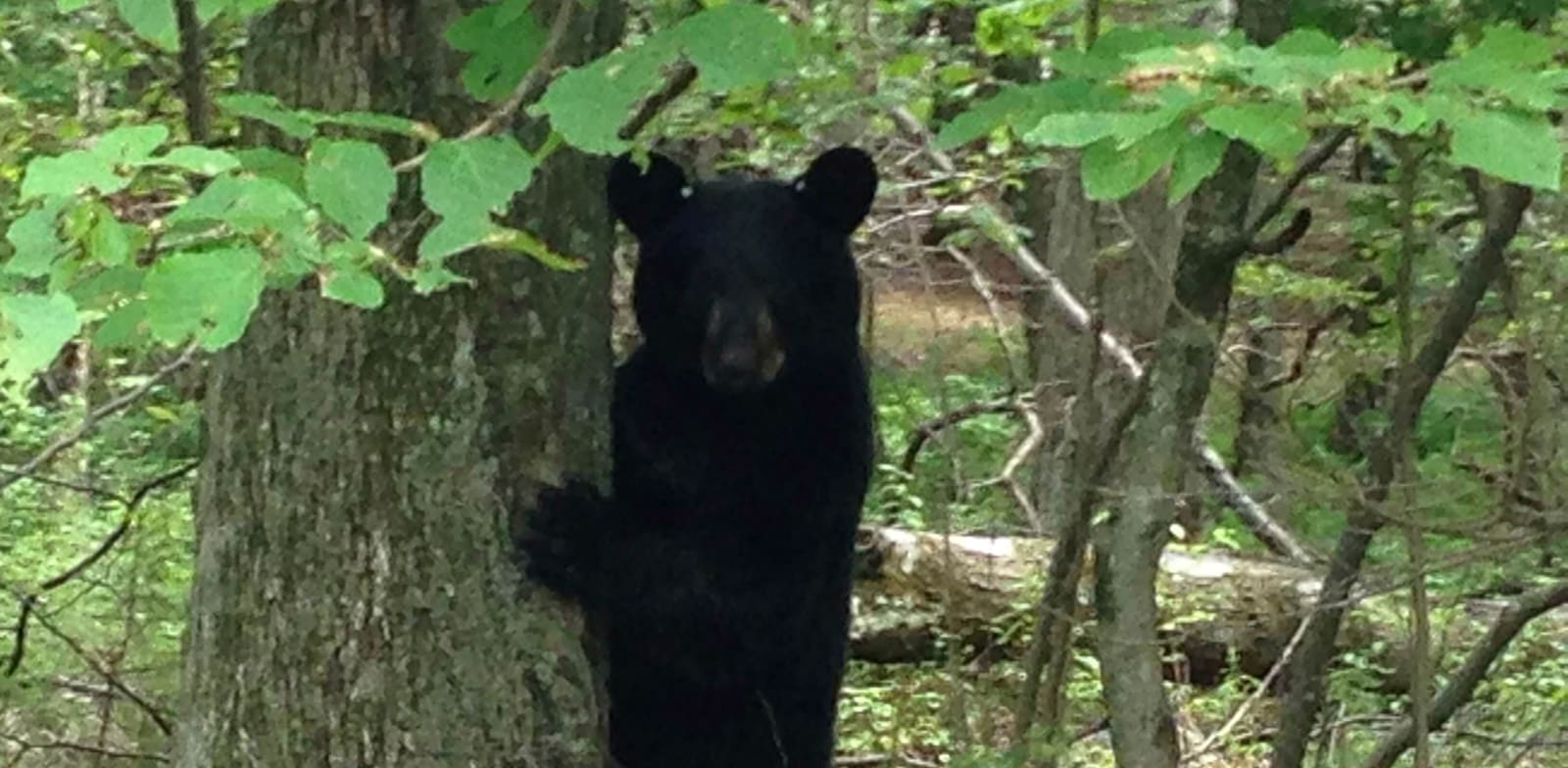 / צילום: רויטרס"