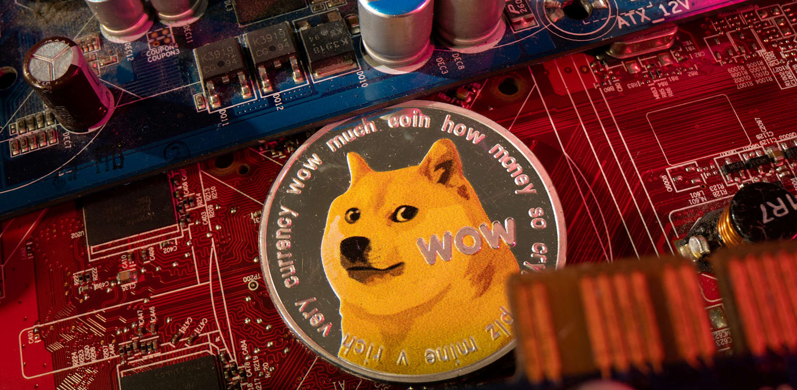 "מטבע הדוג'קוין / צילום: Reuters, Dado Ruvic"