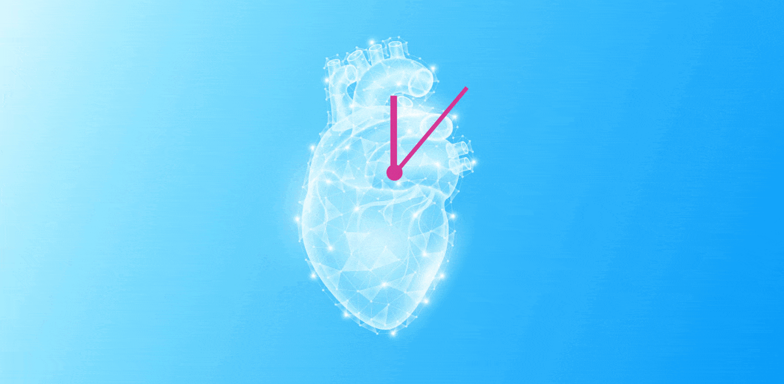 אילוסטרציה: Shutterstock, אנימציה: טלי בוגדנובסקי