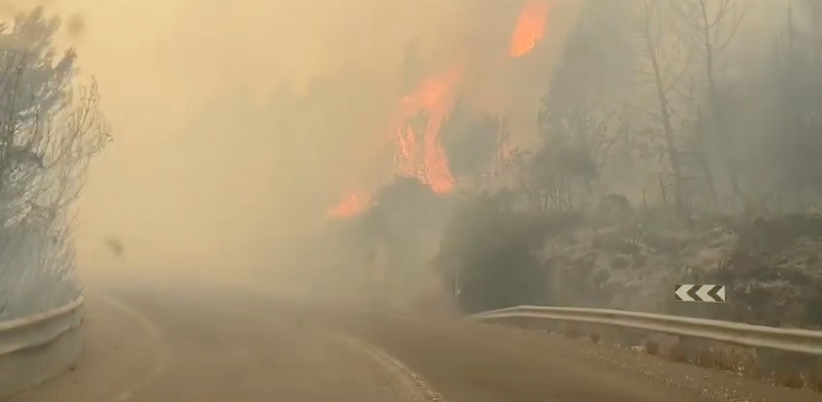 שריפות ליד קריית שמונה, היום / צילום: דוברות מכבי אש