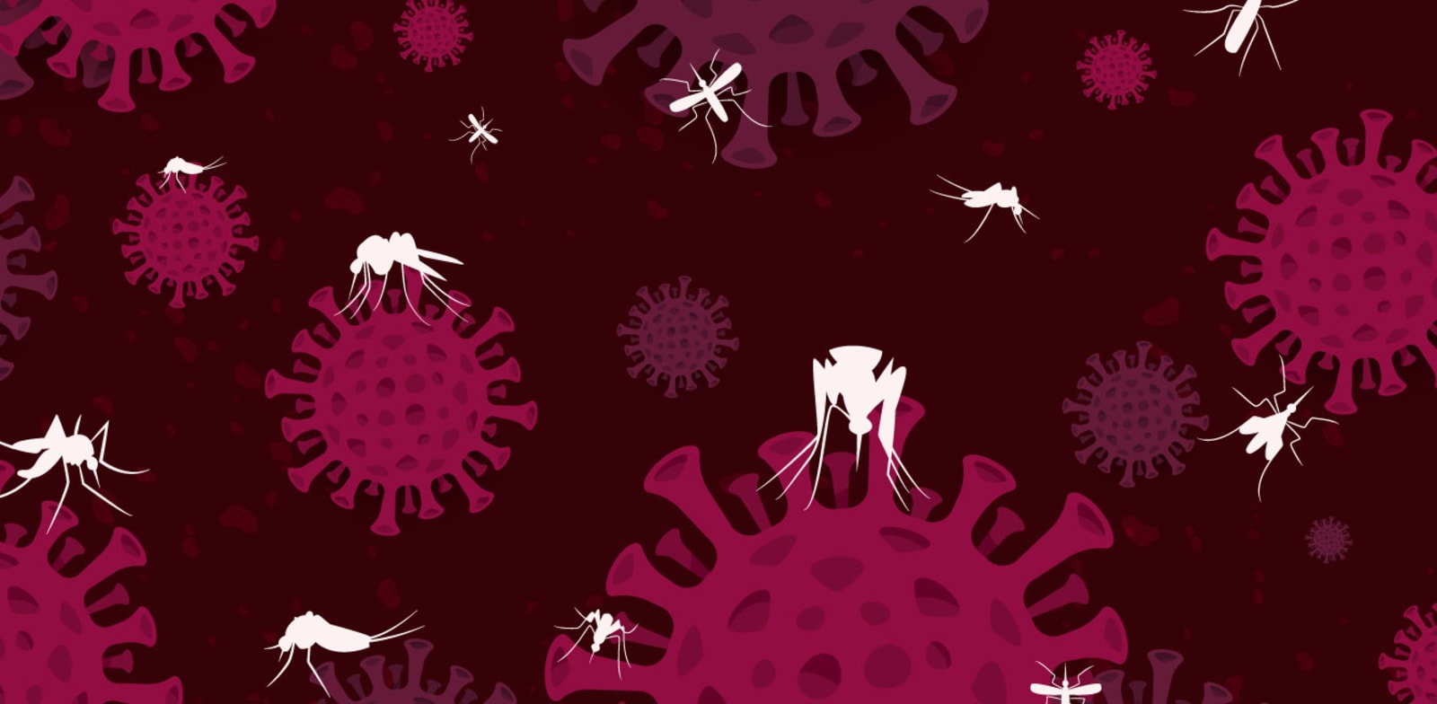 / צילום:  Shutterstock"