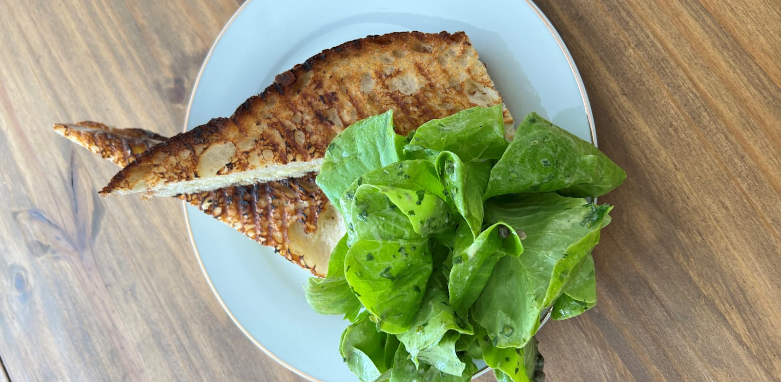 "טוסט גרוייר / צילום: מרב סריג"