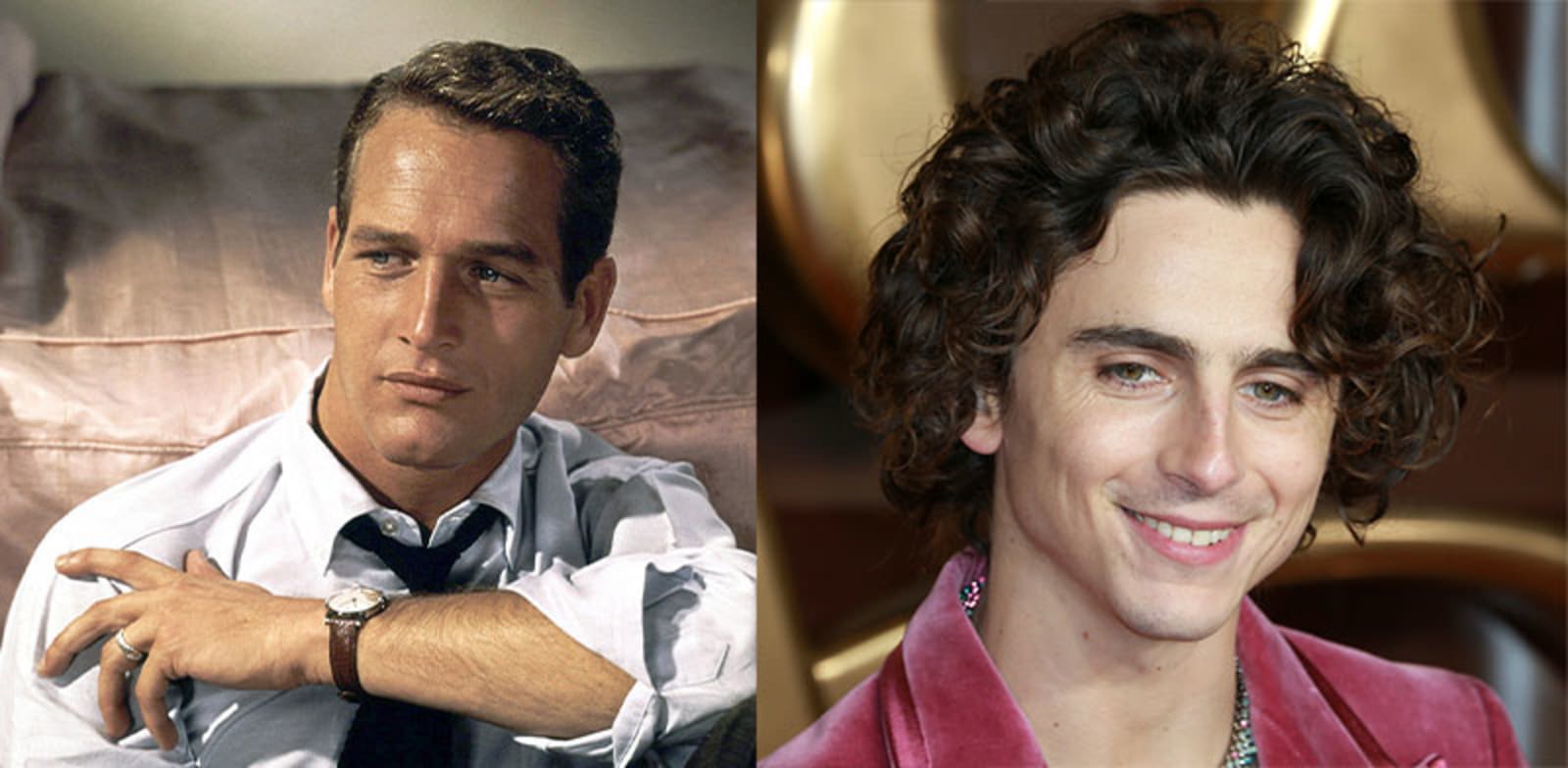 / צילום: : טימות'י שאלאמה ופול ניומן / צילומים: reuters-Bridgeman Images, Shutterstock"