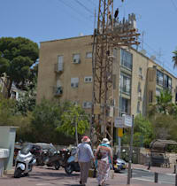 רחוב דפנה בתל אביב, המתחם המיועד לפינוי-בינוי / צילום: תמר מצפי