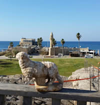 קיסריה / צילום: ורד שריג