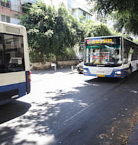 אוטובוסים של חברת דן / צילום: כדיה לוי