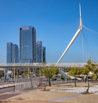 פתח תקווה / צילום: Shutterstock