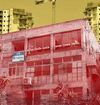 אילוסטרציה: טלי בוגדנובסקי, צילומים: תמר מצפי, shutterstock