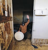 כלא סיידנאיא / צילום: Reuters, Zohra Bensemra